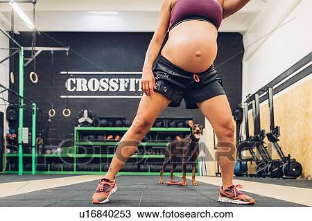 Stock Image - Pregnant woman in gym, pet dog in background. Fotosearch