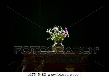 Purple and blue wildflowers in jar, low key still life View Large Photo Image Stock Image - Purple and blue wildflowers in jar, low key still life. Fotosearch