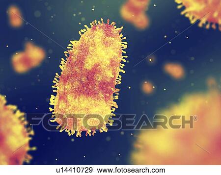 Stock Photo - Rabies viruses, illustration. Fotosearch