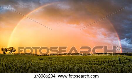 Rainbow over field landscape, Nussbaum, Germany View Large Photo Image Picture - Rainbow over field landscape, Nussbaum, Germany. Fotosearch