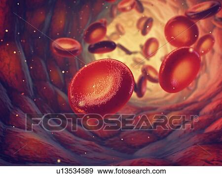 Stock Photo - Red blood cells carry oxygen to all body tissues, illustration.. Fotosearch