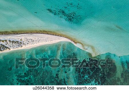 Reef life and cay, Alacranes, Campeche, Mexico View Large Photo Image Stock Photo - Reef life and cay, Alacranes, Campeche, Mexico. Fotosearch