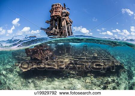 Reef life and old wrecks, Alacranes, Campeche, Mexico View Large Photo Image Stock Image - Reef life and old wrecks, Alacranes, Campeche, Mexico. Fotosearch