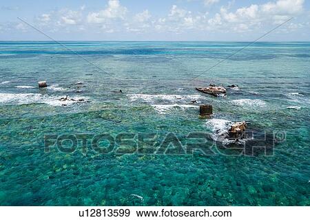 Stock Photo - Reef life and old wrecks, Alacranes, Campeche, Mexico. Fotosearch