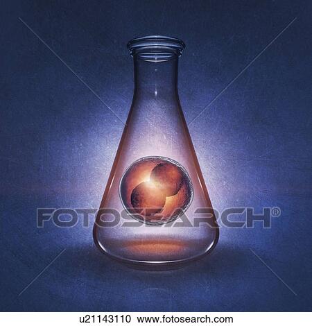 Stock Image - Reproductive biology research, conceptual illustration. Fotosearch