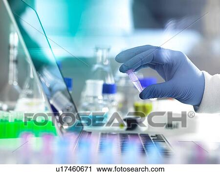 Stock Image - Research experiment, scientist examining vial containing sample used in biomedical, DNA, biotechnology, analytical chemistry and pharmaceutical research. Fotosearch