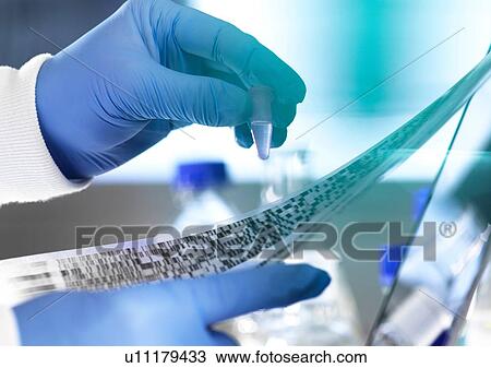 Research scientist holding a sample in a vial with DNA results on autoradiogram gel in laboratory, close up of hand View Large Photo Image Stock Image - Research scientist holding a sample in a vial with DNA results on autoradiogram gel in laboratory, close up of hand. Fotosearch