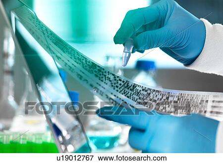Research scientist holding a sample in a vial with DNA results on autoradiogram gel in laboratory, close up of hand View Large Photo Image Stock Photo - Research scientist holding a sample in a vial with DNA results on autoradiogram gel in laboratory, close up of hand. Fotosearch