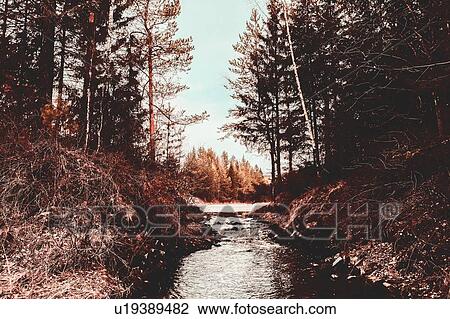 Stock Image - River running through forest, Ural, Sverdlovsk, Russia. Fotosearch
