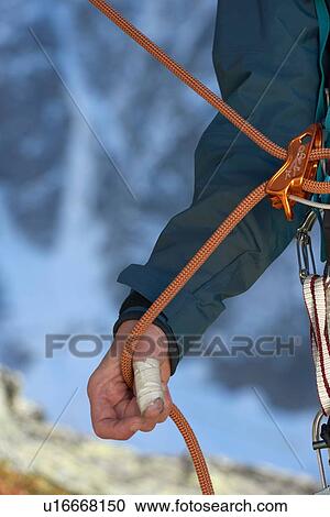 Safety harness worn by mountaineer View Large Photo Image Stock Image - Safety harness worn by mountaineer. Fotosearch