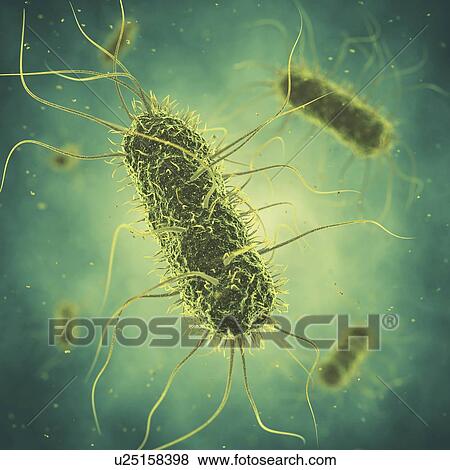 Stock Photo - Salmonella bacteria, illustration. Fotosearch