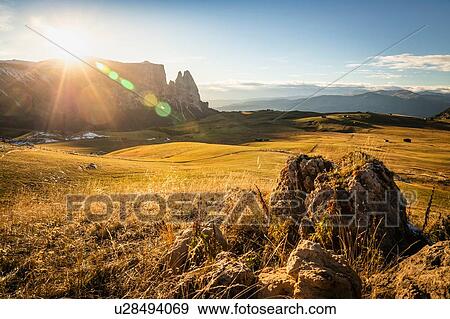 Schlern-Rosengarten on Seiser Alm, Dolomites, Siusi, Trentino-Alto Adige, Italy View Large Photo Image Stock Photo - Schlern-Rosengarten on Seiser Alm, Dolomites, Siusi, Trentino-Alto Adige, Italy. Fotosearch