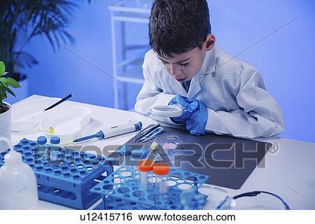 Schoolboy examining leaves View Large Photo Image Stock Photograph - Schoolboy examining leaves. Fotosearch