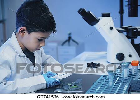 Stock Photograph - Schoolboy examining leaves. Fotosearch