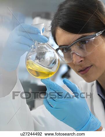 Stock Image - Scientist examining a solution in a laboratory flask during an experiment.. Fotosearch