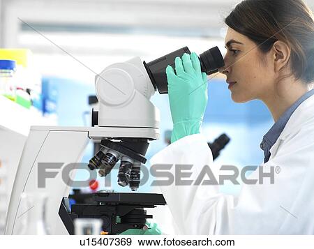 Stock Photo - Scientist examining specimens under a microscope during a clinical trial in the laboratory.. Fotosearch