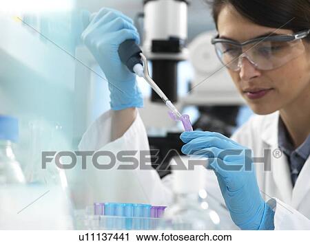 Stock Image - Scientist pipetting sample into a tube for analytical testing in the laboratory.. Fotosearch