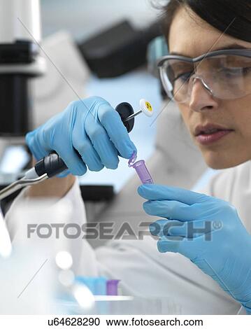 Scientist pipetting sample into a tube for analytical testing in the laboratory. View Large Photo Image Stock Image - Scientist pipetting sample into a tube for analytical testing in the laboratory.. Fotosearch