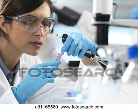 Stock Image - Scientist pipetting sample into a tube for analytical testing in the laboratory.. Fotosearch