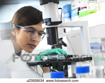 Scientist viewing a multi well plate containing samples for testing in the laboratory. View Large Photo Image Picture - Scientist viewing a multi well plate containing samples for testing in the laboratory.. Fotosearch