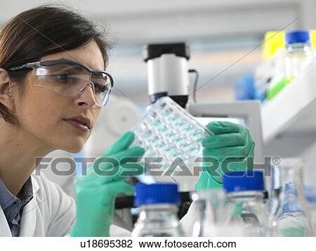 Stock Image - Scientist viewing a multi well plate containing samples for testing in the laboratory.. Fotosearch