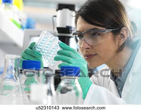 Scientist viewing a multi well plate containing samples for testing in the laboratory. View Large Photo Image Stock Image - Scientist viewing a multi well plate containing samples for testing in the laboratory.. Fotosearch