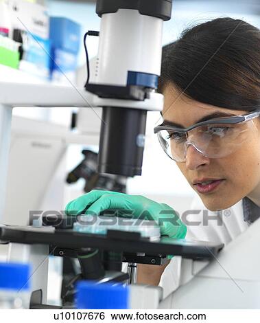 Scientist viewing a multi well plate containing samples for testing in the laboratory. View Large Photo Image Stock Photograph - Scientist viewing a multi well plate containing samples for testing in the laboratory.. Fotosearch