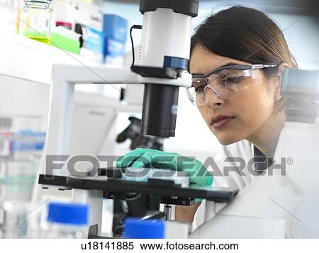 Scientist viewing a multi well plate containing samples for testing in the laboratory. View Large Photo Image Stock Photography - Scientist viewing a multi well plate containing samples for testing in the laboratory.. Fotosearch
