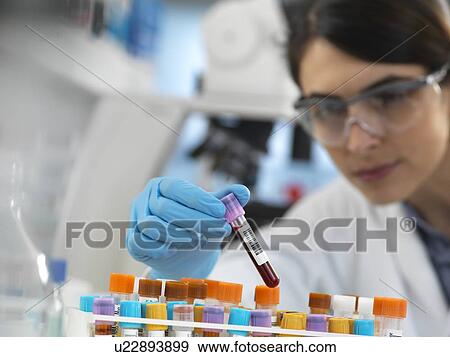 Scientists selecting a human blood sample in the laboratory. View Large Photo Image Stock Photo - Scientists selecting a human blood sample in the laboratory.. Fotosearch