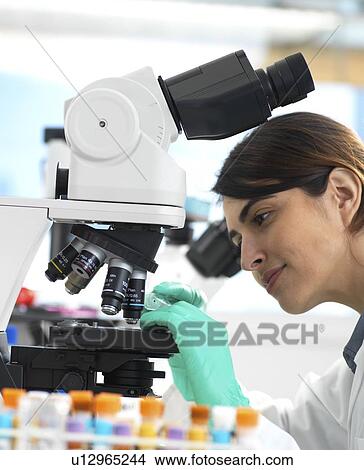 Picture - Scientists viewing a medical sample on a glass slide under a microscope in the laboratory.. Fotosearch