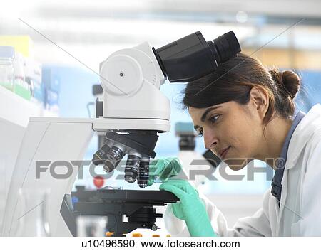 Stock Image - Scientists viewing a medical sample on a glass slide under a microscope in the laboratory.. Fotosearch