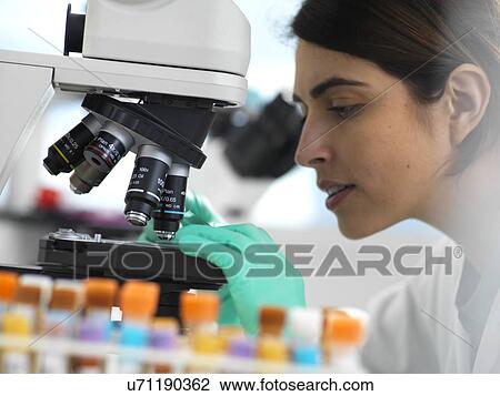 Stock Image - Scientists viewing a medical sample on a glass slide under a microscope in the laboratory.. Fotosearch