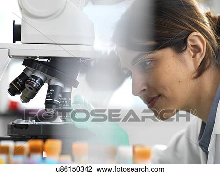 Stock Image - Scientists viewing a medical sample on a glass slide under a microscope in the laboratory.. Fotosearch