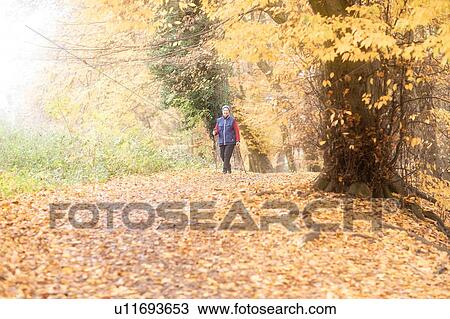 Senior woman nordic walking in park View Large Photo Image Stock Image - Senior woman nordic walking in park. Fotosearch