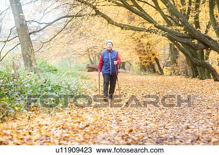 Senior woman nordic walking in park View Large Photo Image Stock Image - Senior woman nordic walking in park. Fotosearch