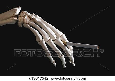 Skeleton smoking View Large Photo Image Stock Image - Skeleton smoking. Fotosearch