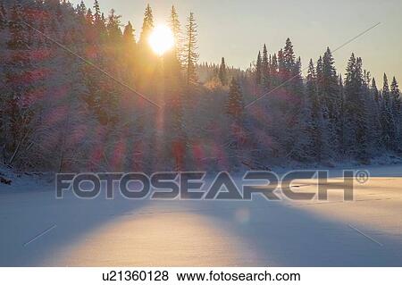 Snow covered lake and forest at sunset View Large Photo Image Stock Photo - Snow covered lake and forest at sunset. Fotosearch
