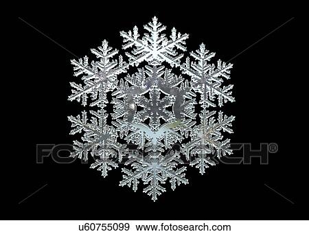 Snowflake, illustration View Large Photo Image Stock Photo - Snowflake, illustration. Fotosearch