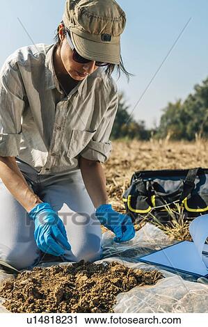 Stock Image - Soil Fertility Analysis. Female agronomist taking soil sample.. Fotosearch