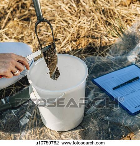 Stock Image - Soil Sampling. Female agronomist taking sample with soil probe sampler.. Fotosearch