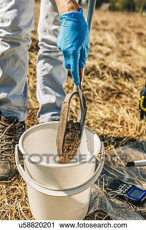 Soil Sampling. Female agronomist taking sample with soil probe sampler. View Large Photo Image Stock Image - Soil Sampling. Female agronomist taking sample with soil probe sampler.. Fotosearch