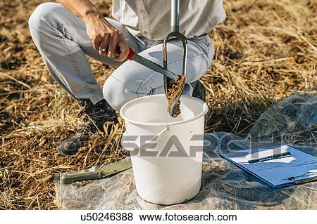 Stock Photo - Soil Sampling. Female agronomist taking sample with soil probe sampler.. Fotosearch