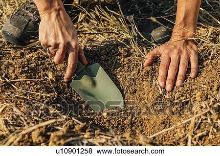 Stock Photo - Soil Sampling Process. Woman agronomist taking soil sample for fertility analysis.. Fotosearch