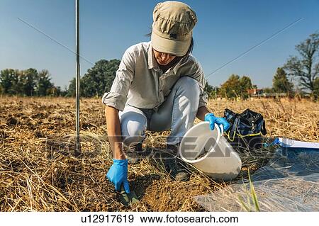 Soil Sampling Process. Woman agronomist taking soil sample for fertility analysis. View Large Photo Image Stock Photo - Soil Sampling Process. Woman agronomist taking soil sample for fertility analysis.. Fotosearch