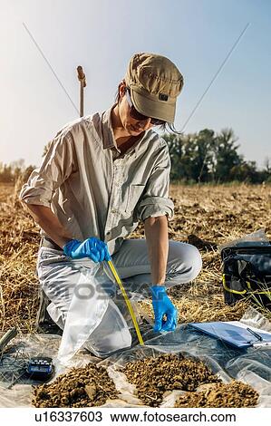 Stock Image - Soil Sampling. Woman agronomist opens soil sample bag.. Fotosearch