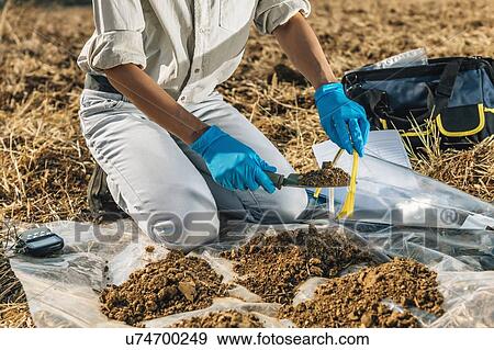Soil Test. Agronomist putting soil with garden shovel in soil sample bag. View Large Photo Image Stock Photo - Soil Test. Agronomist putting soil with garden shovel in soil sample bag.. Fotosearch
