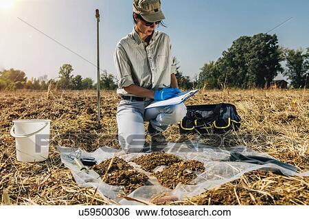 Stock Photograph - Soil Test. Female agronomist taking notes in the field.. Fotosearch