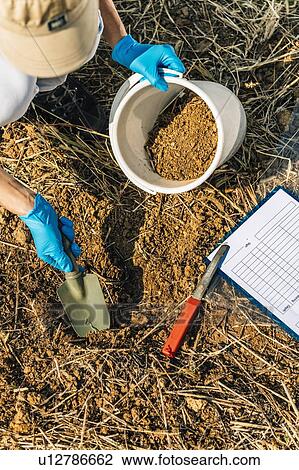 Stock Image - Soil Testing. Agronomy Specialist taking soil sample for fertility analysis.. Fotosearch