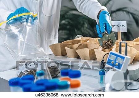 Stock Photo - Soil testing. Biologist's hand with protective gloves holding trowel with soil above samples separated in small containers.. Fotosearch