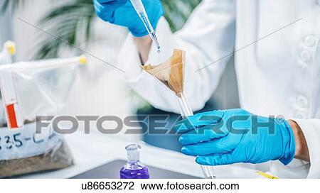 Soil testing. Close up hands of the scientist in laboratory mixing samples of the soil with reagent. View Large Photo Image Stock Image - Soil testing. Close up hands of the scientist in laboratory mixing samples of the soil with reagent.. Fotosearch